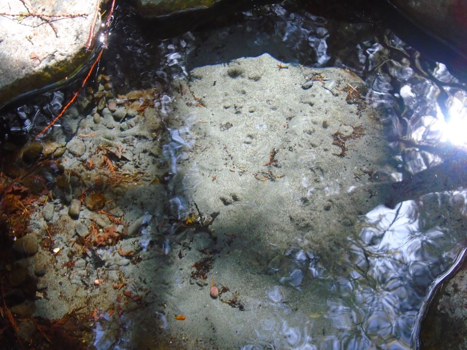 Clear spring water over sand